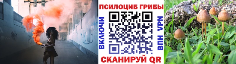 Псилоцибиновые грибы Cubensis  купить наркотики сайты  Кимры 
